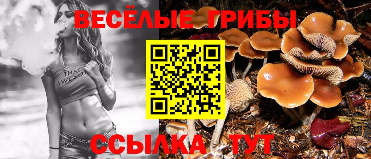 Галлюциногенные грибы мухоморы Томск
